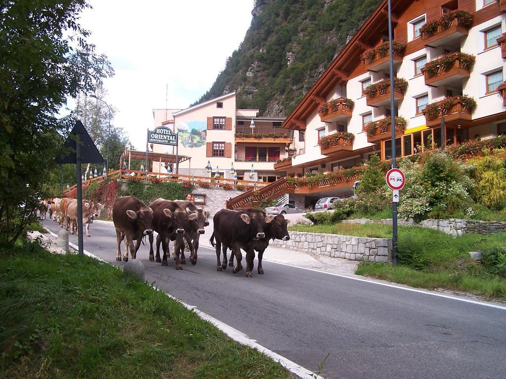 Alps Oriental Wellness Hotel Campodolcino Exterior foto